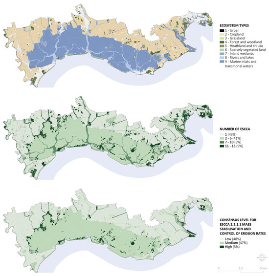 Sustainability 16 00483 g005