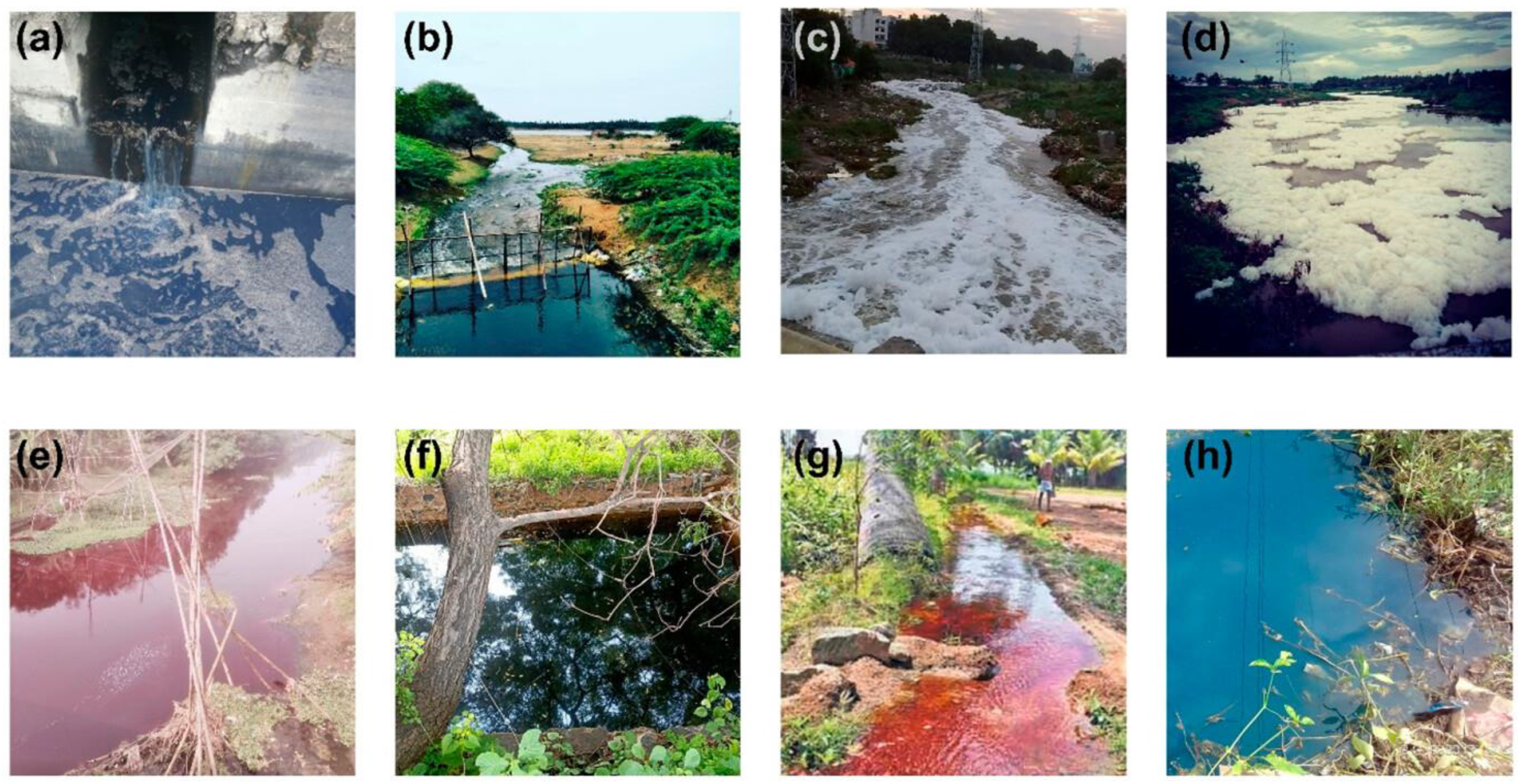 Sustainability 16 00495 g002