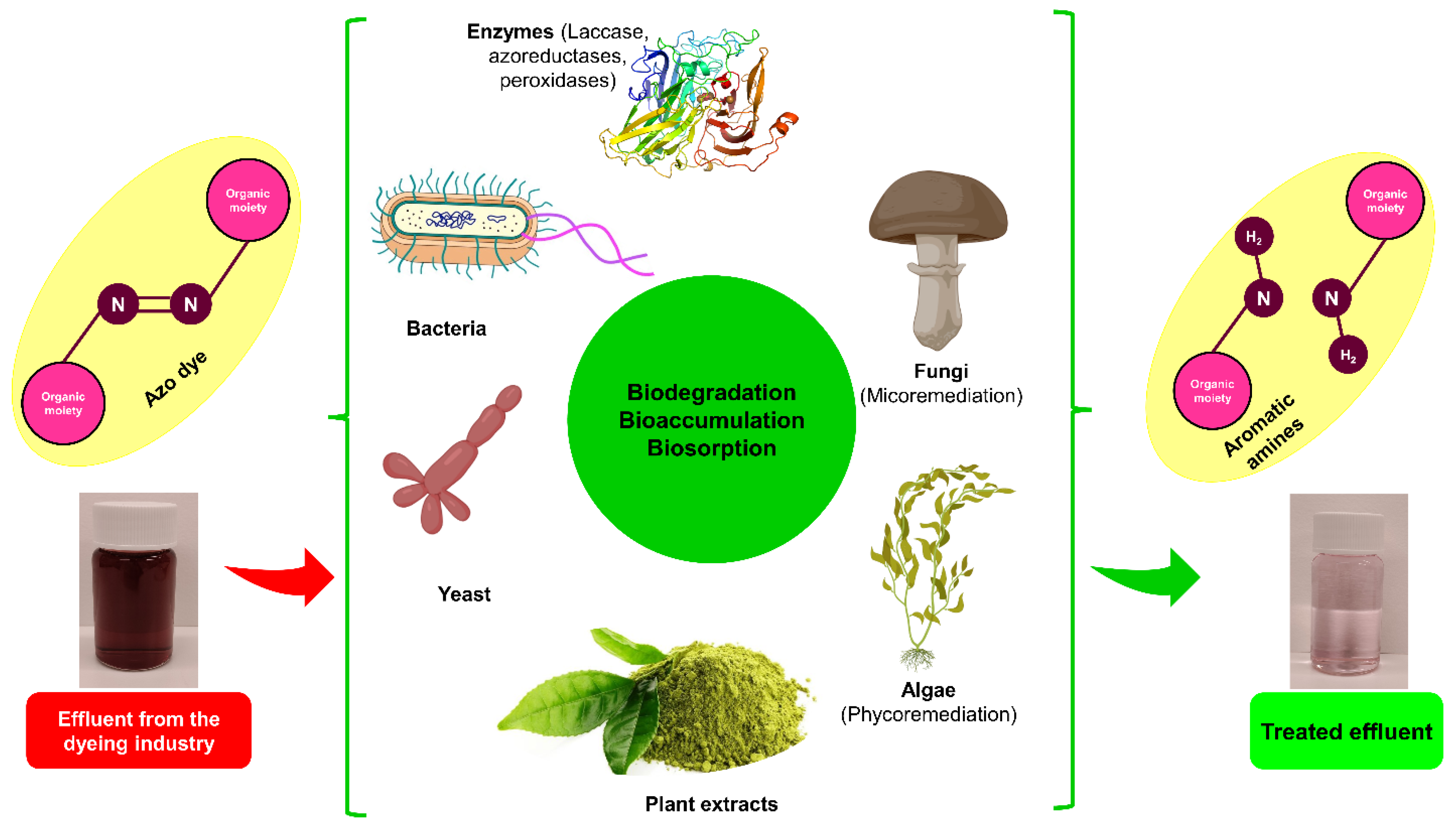 Sustainability 16 00495 g006