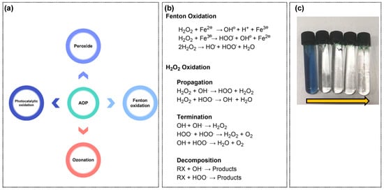 Sustainability 16 00495 g010