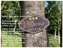 Sustainability 16 00505 i008