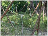 Sustainability 16 00505 i025