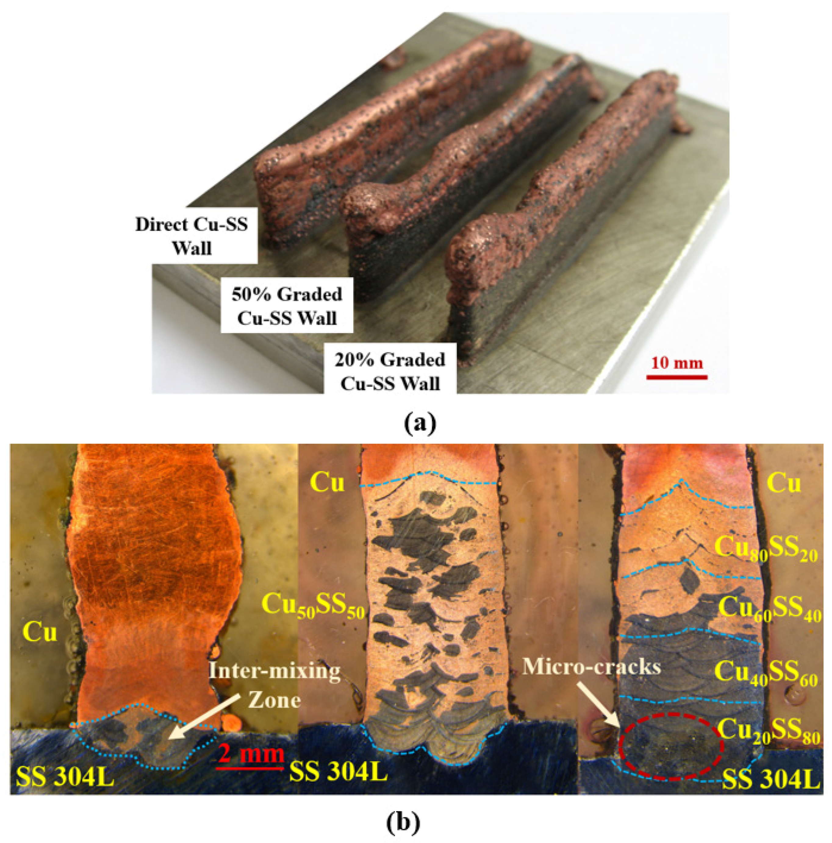 Sustainability 16 00519 g002