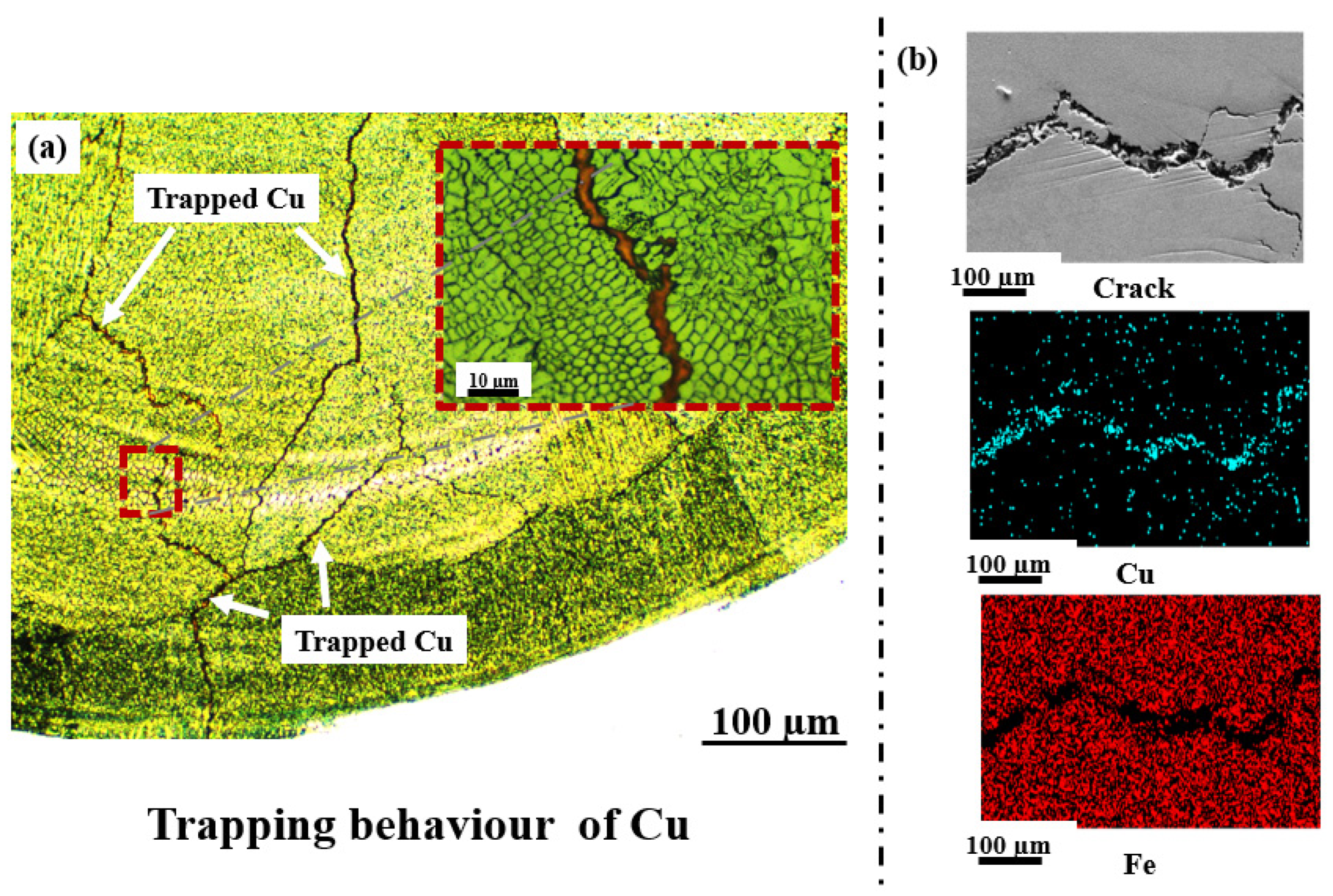 Sustainability 16 00519 g003
