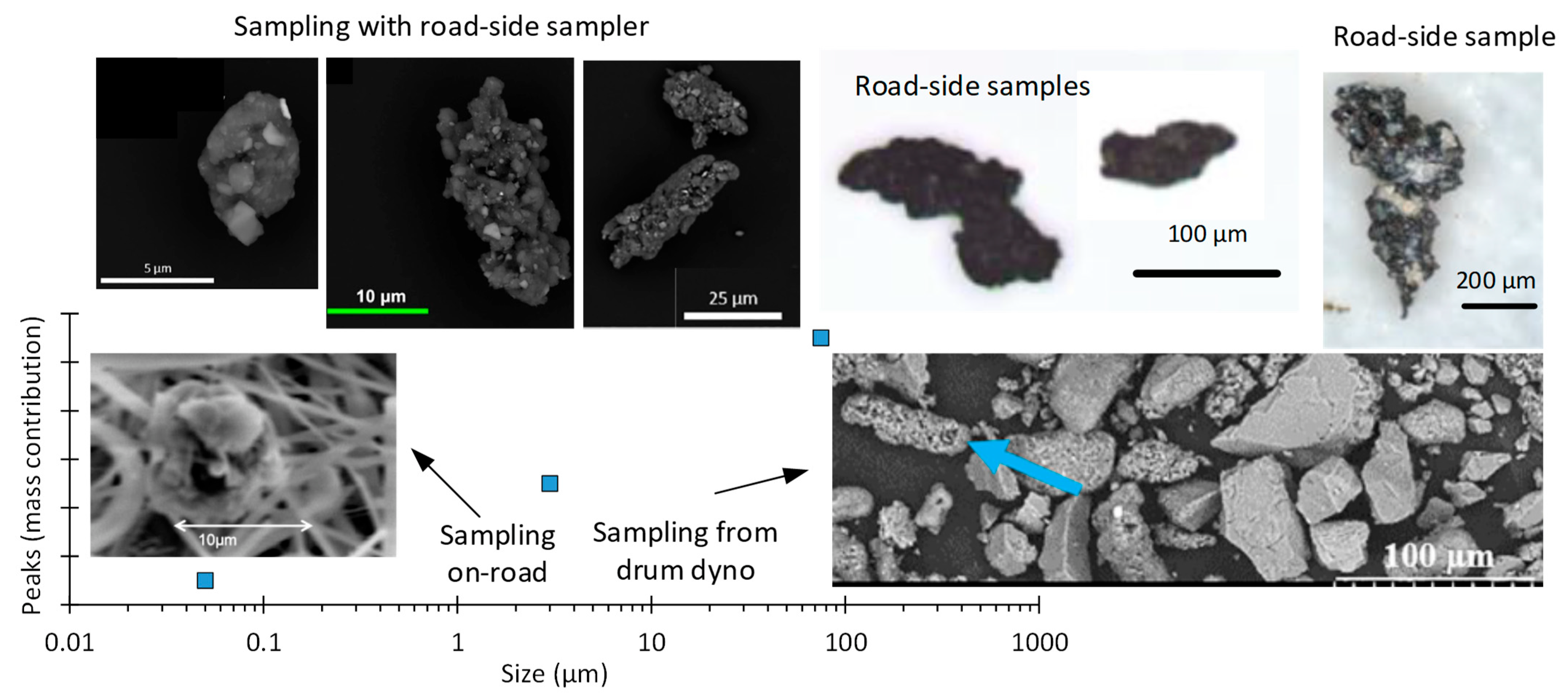 Sustainability 16 00522 g003