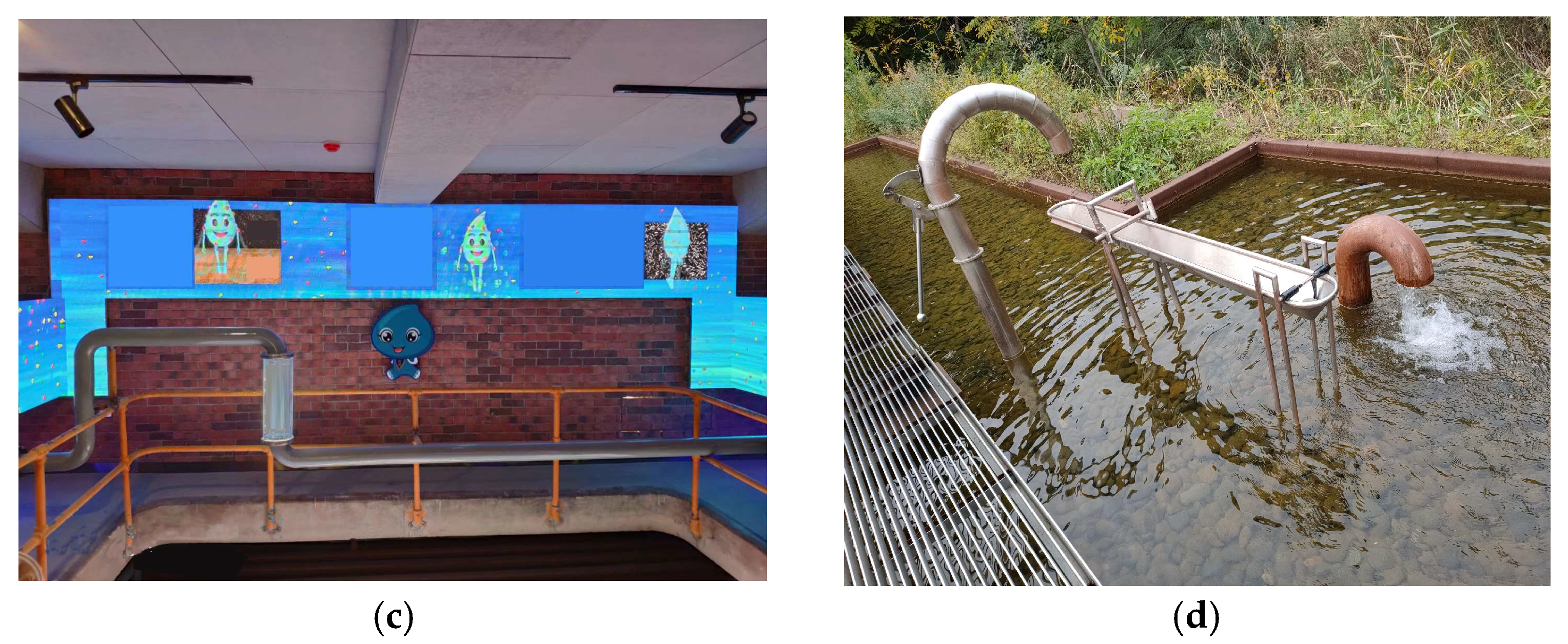 Sustainability 16 00552 g001b