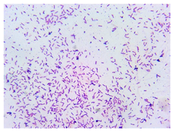 Sustainability 16 00563 i004