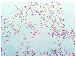 Sustainability 16 00563 i008