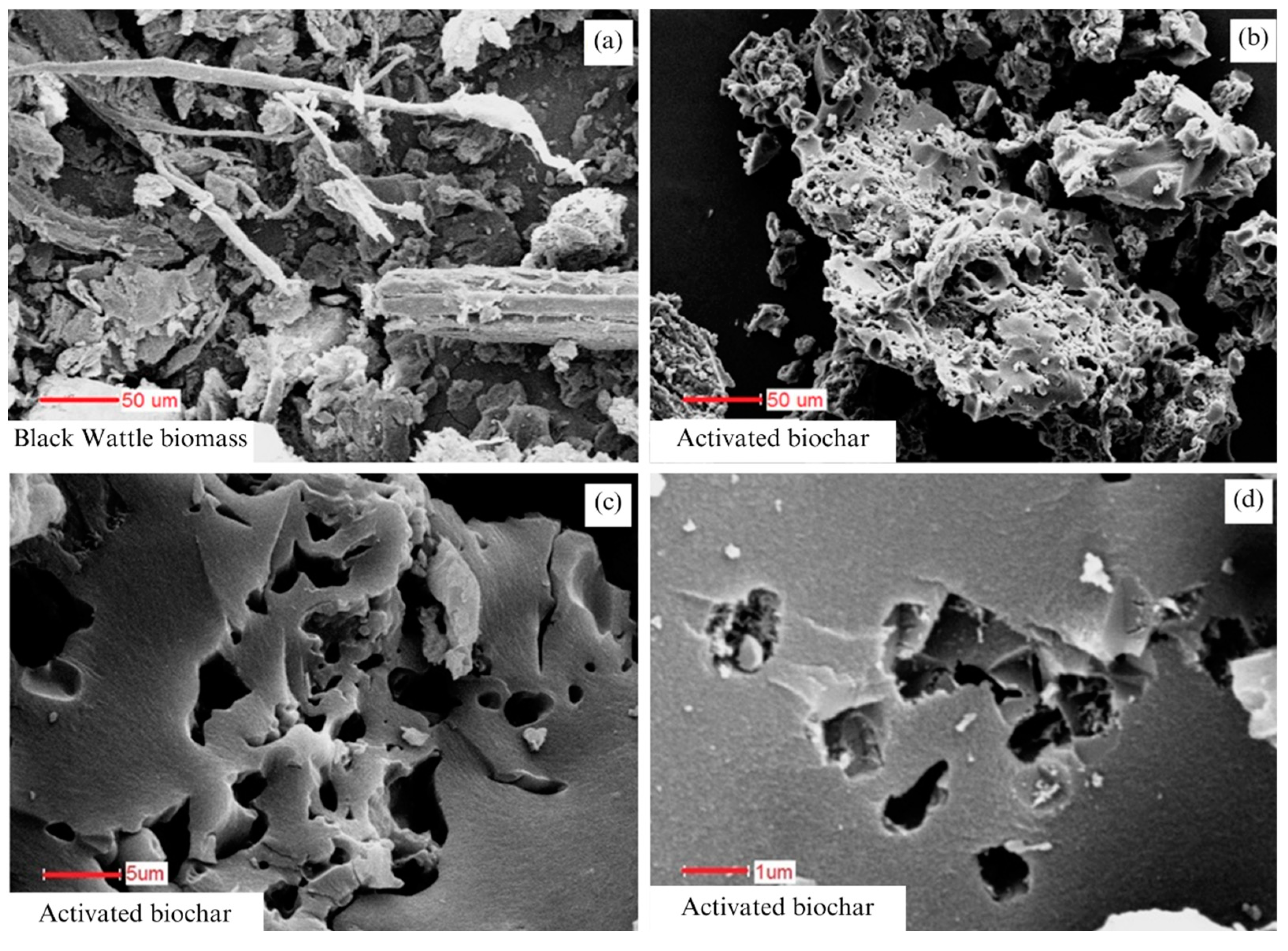 Sustainability 16 00601 g004