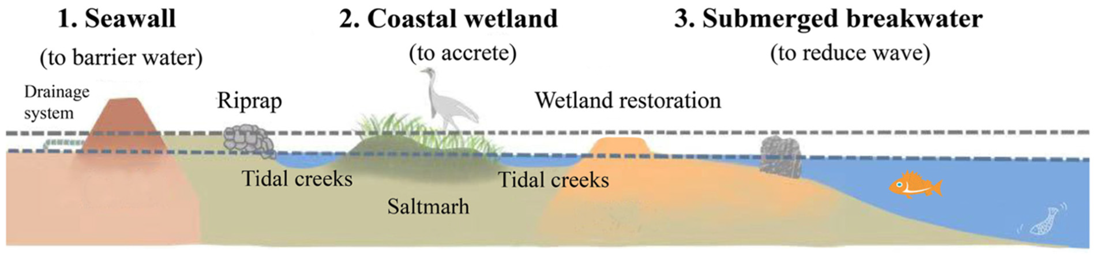 Sustainability 16 00609 g006