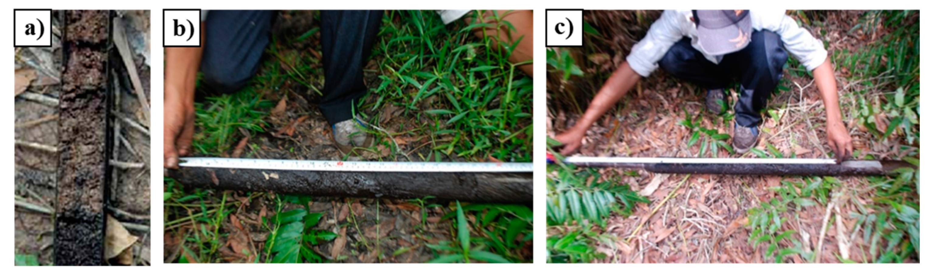 Sustainability 16 00620 g004