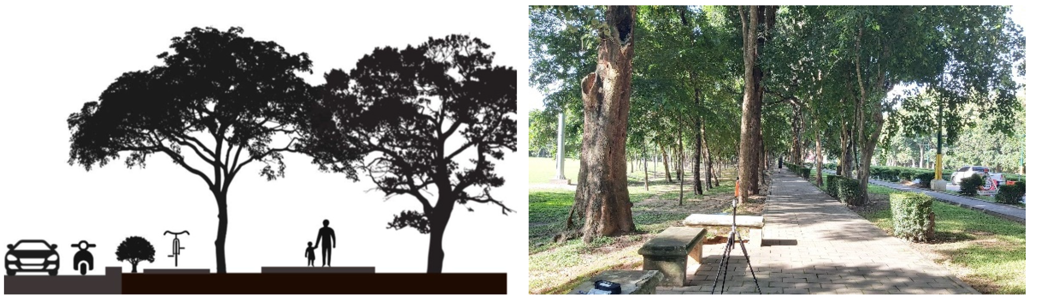 Sustainability 16 00657 g005