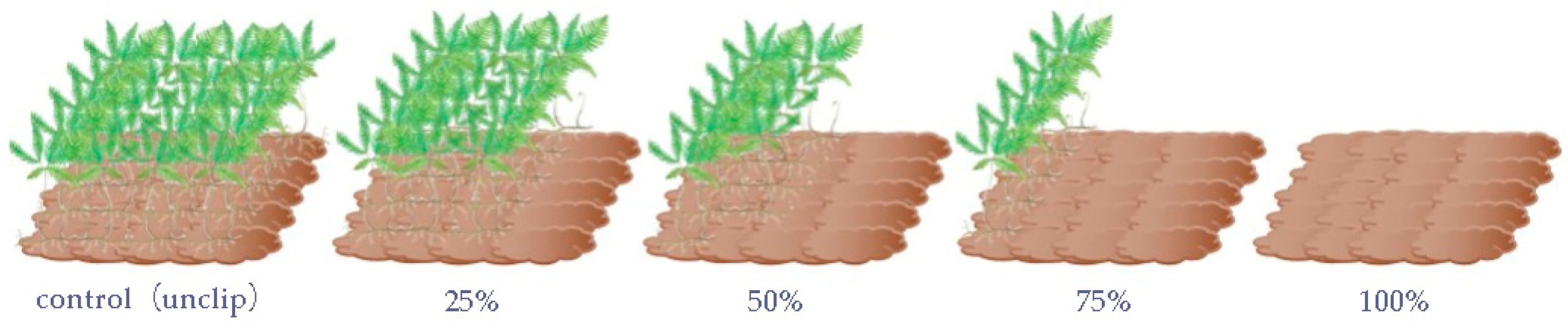 Sustainability 16 00664 g001