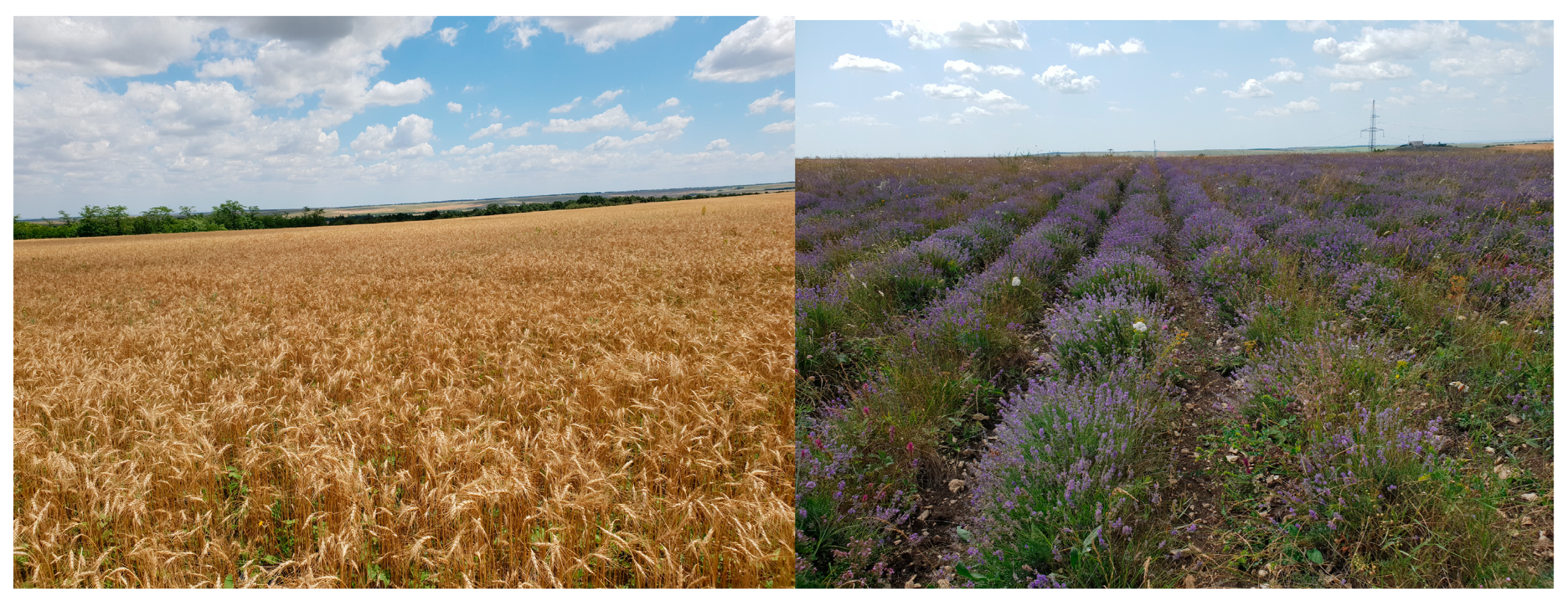 Sustainability 16 00665 g001