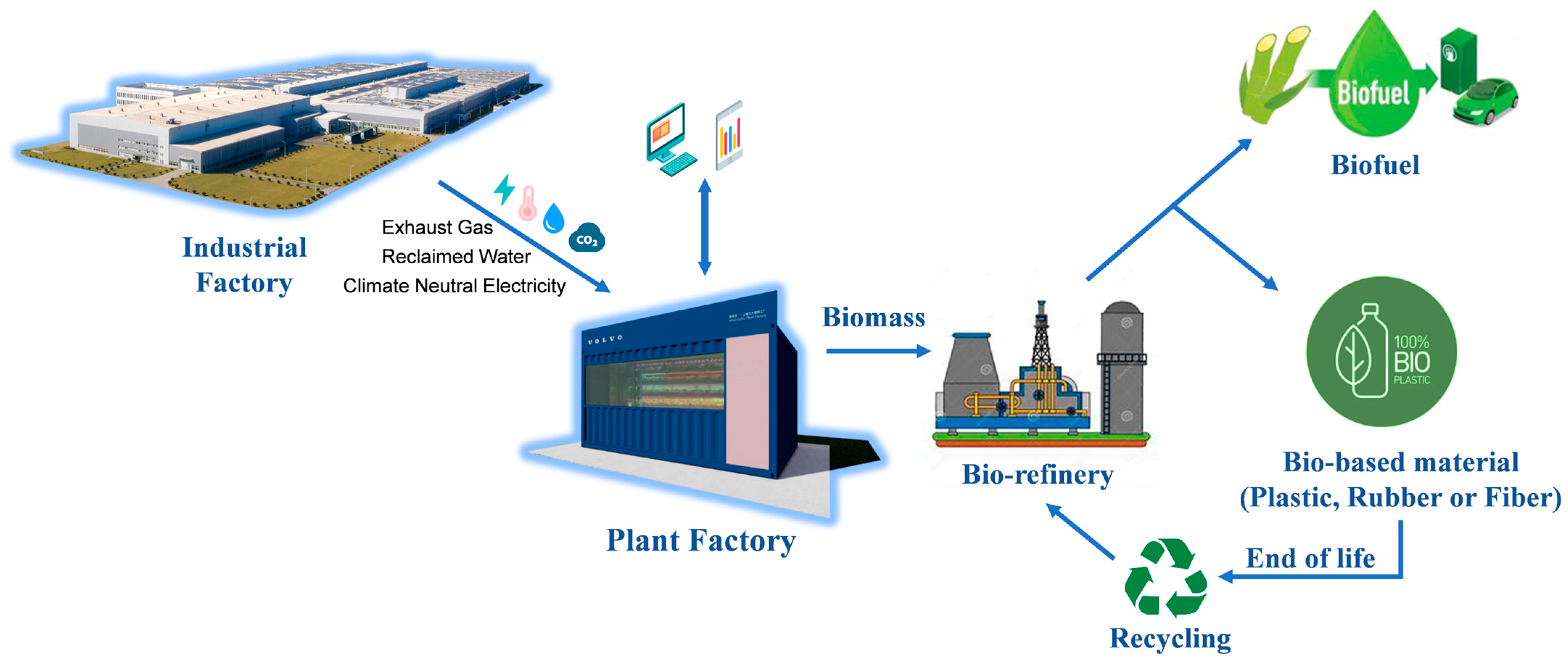Sustainability 16 00697 g001