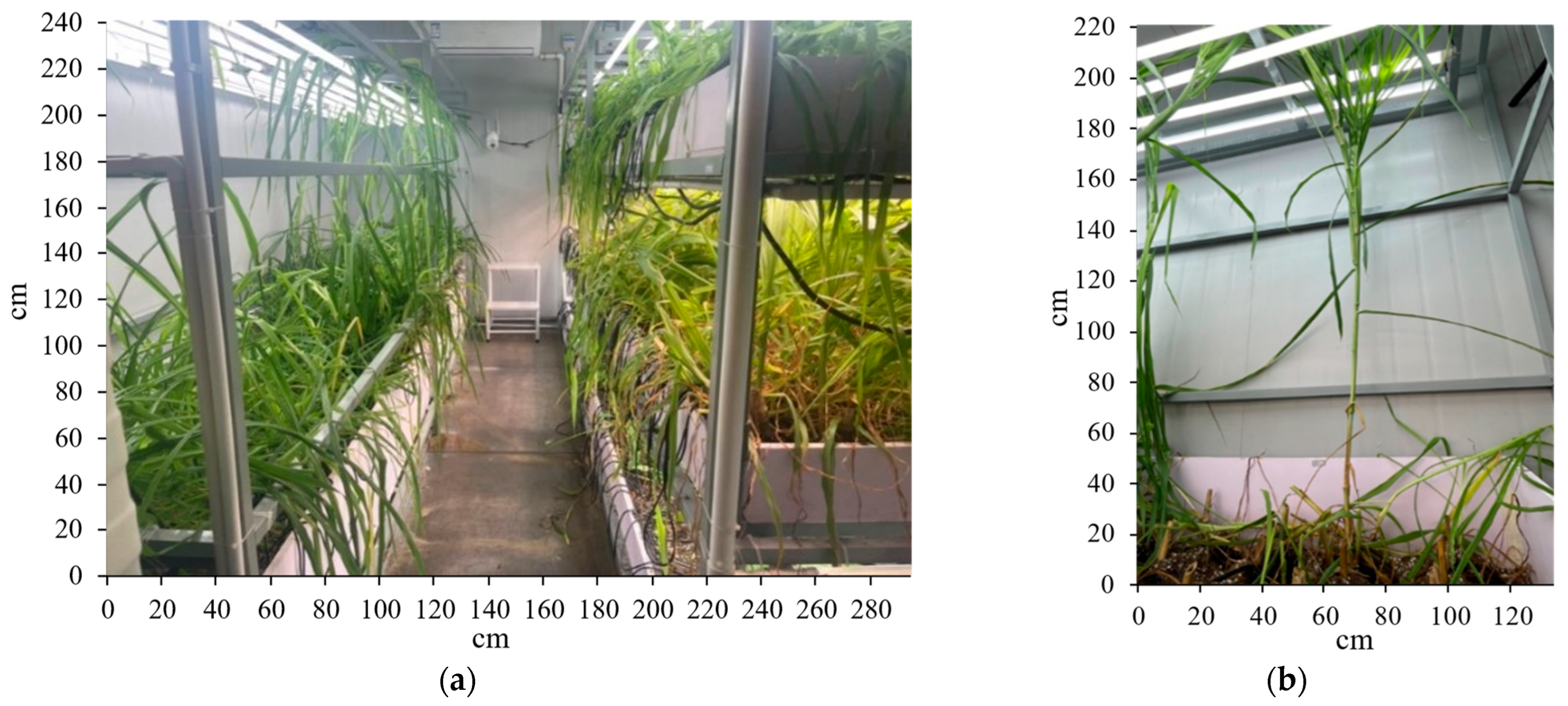 Sustainability 16 00697 g007