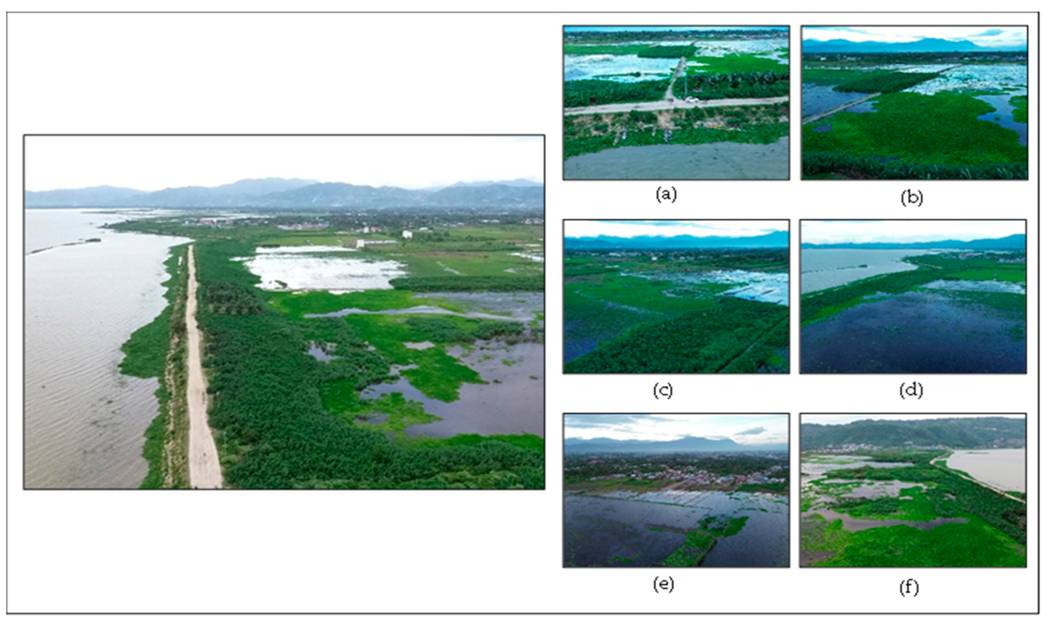 Sustainability 16 00704 g004