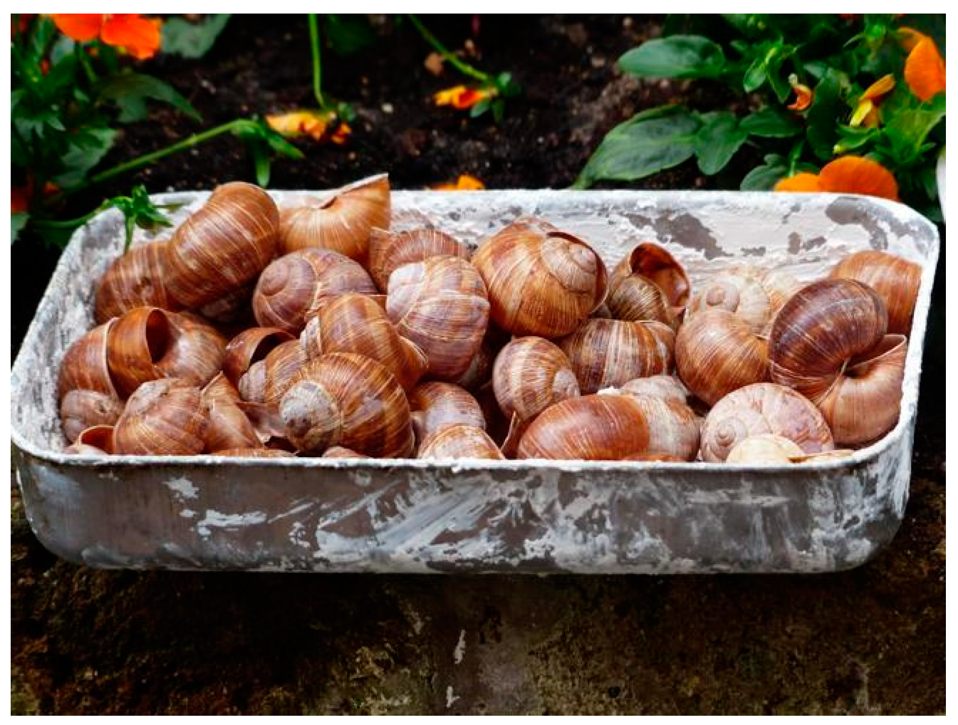 Sustainability 16 00706 g001