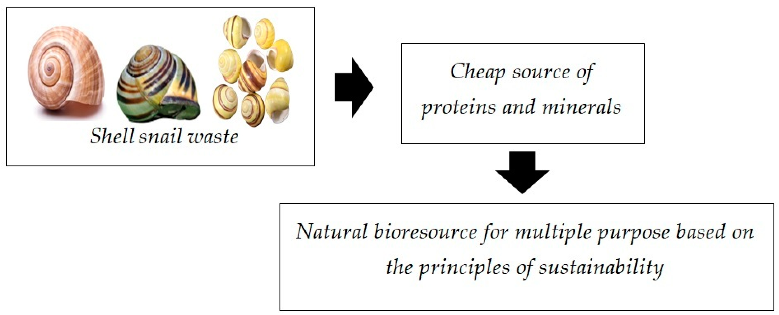 Sustainability 16 00706 g002
