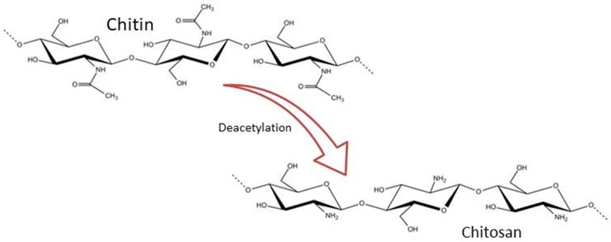 Sustainability 16 00706 g003