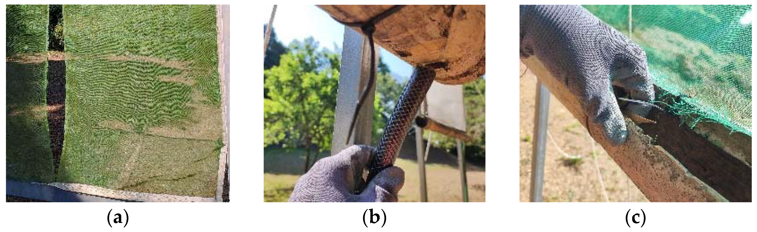 Sustainability 16 00792 g005