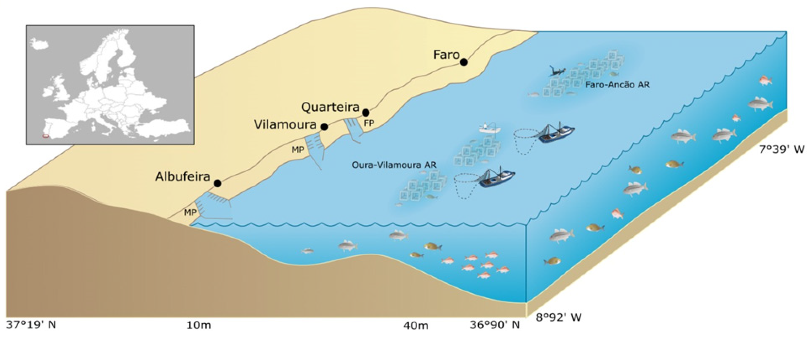 Sustainability 16 00810 g001