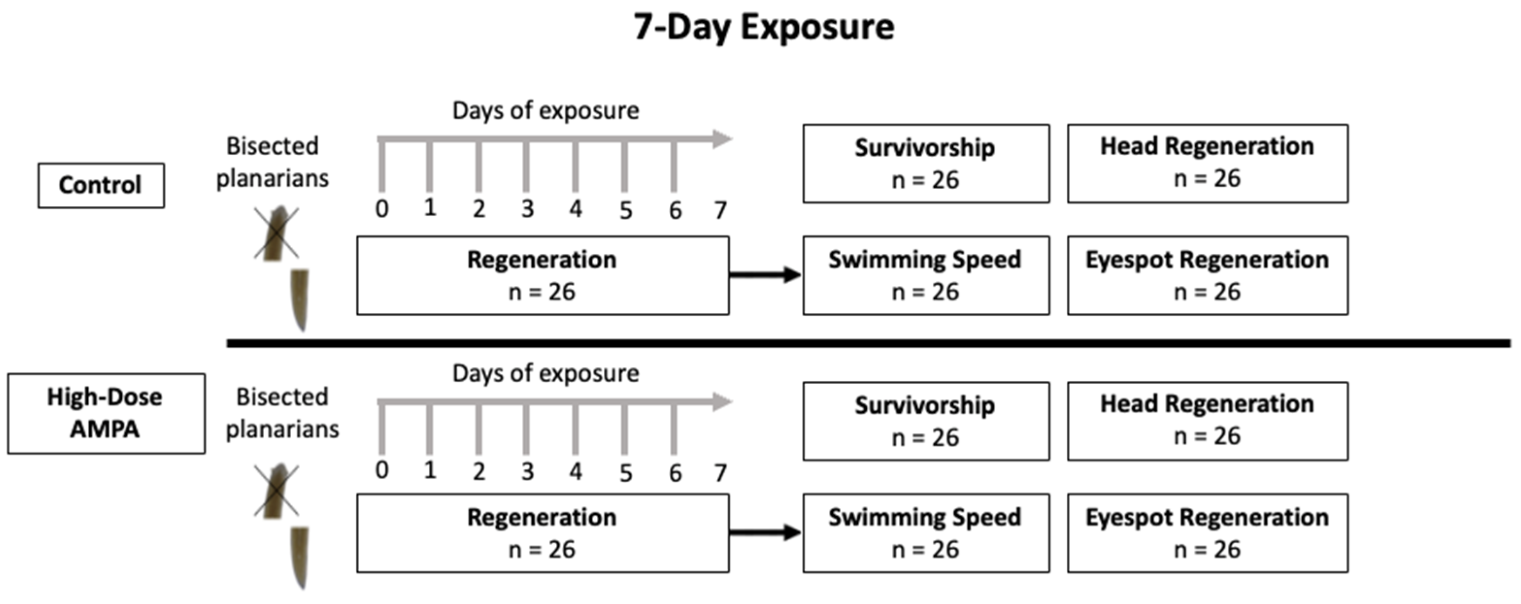 Sustainability 16 00842 g001