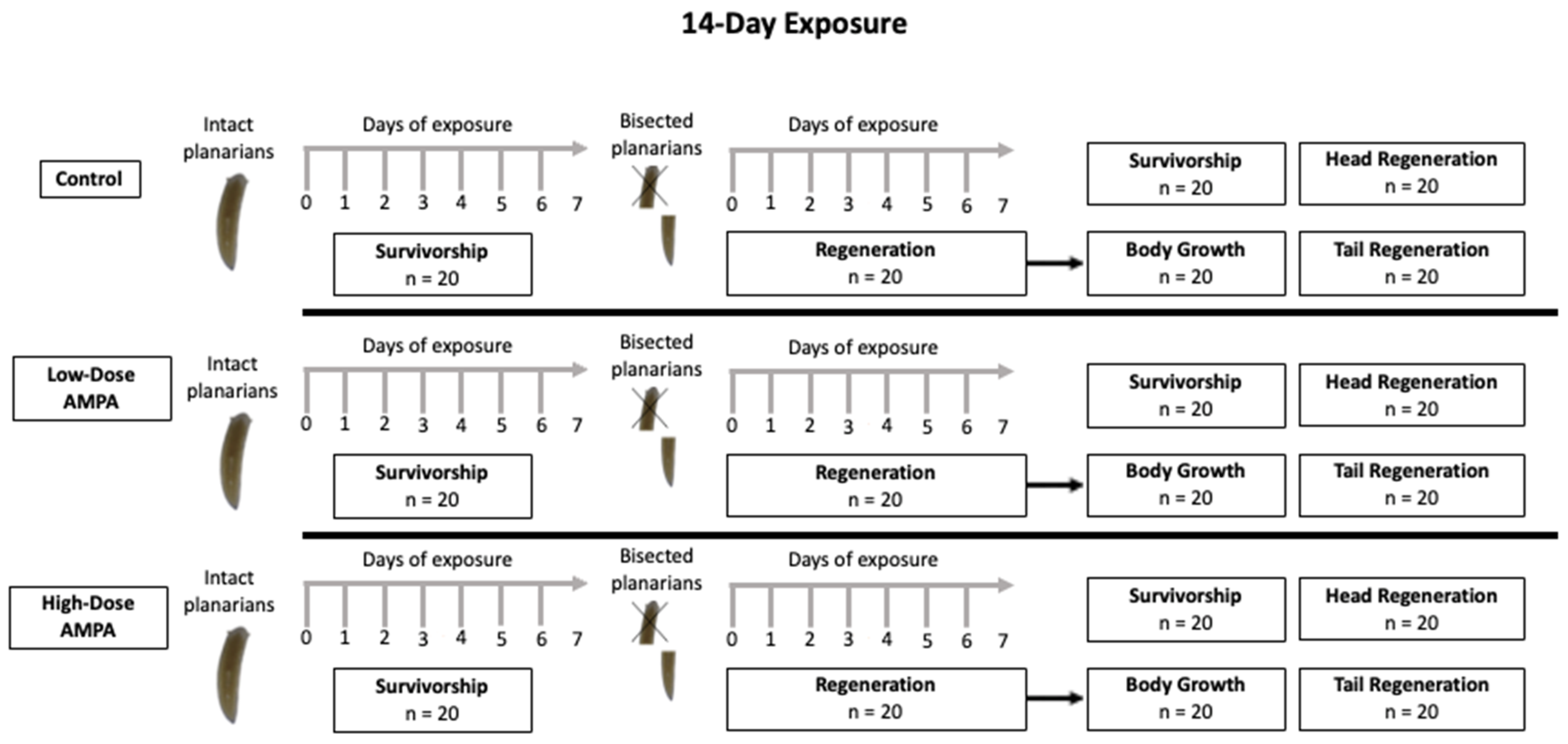 Sustainability 16 00842 g002