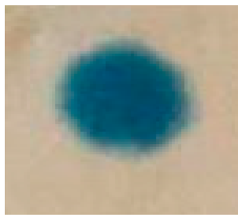 Sustainability 16 00857 i018