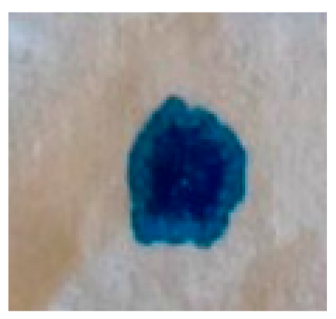 Sustainability 16 00857 i027