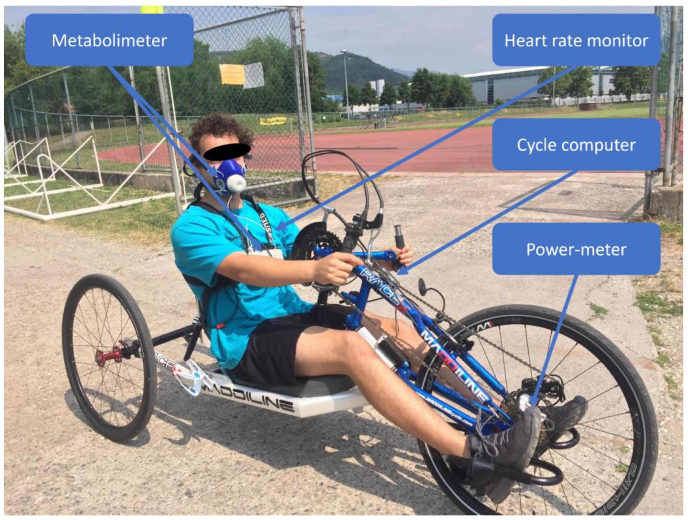 Sustainability 16 00889 g002