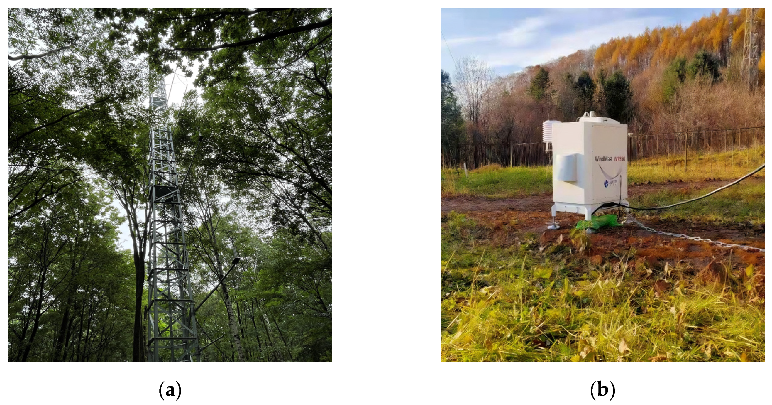 Sustainability 16 00898 g001