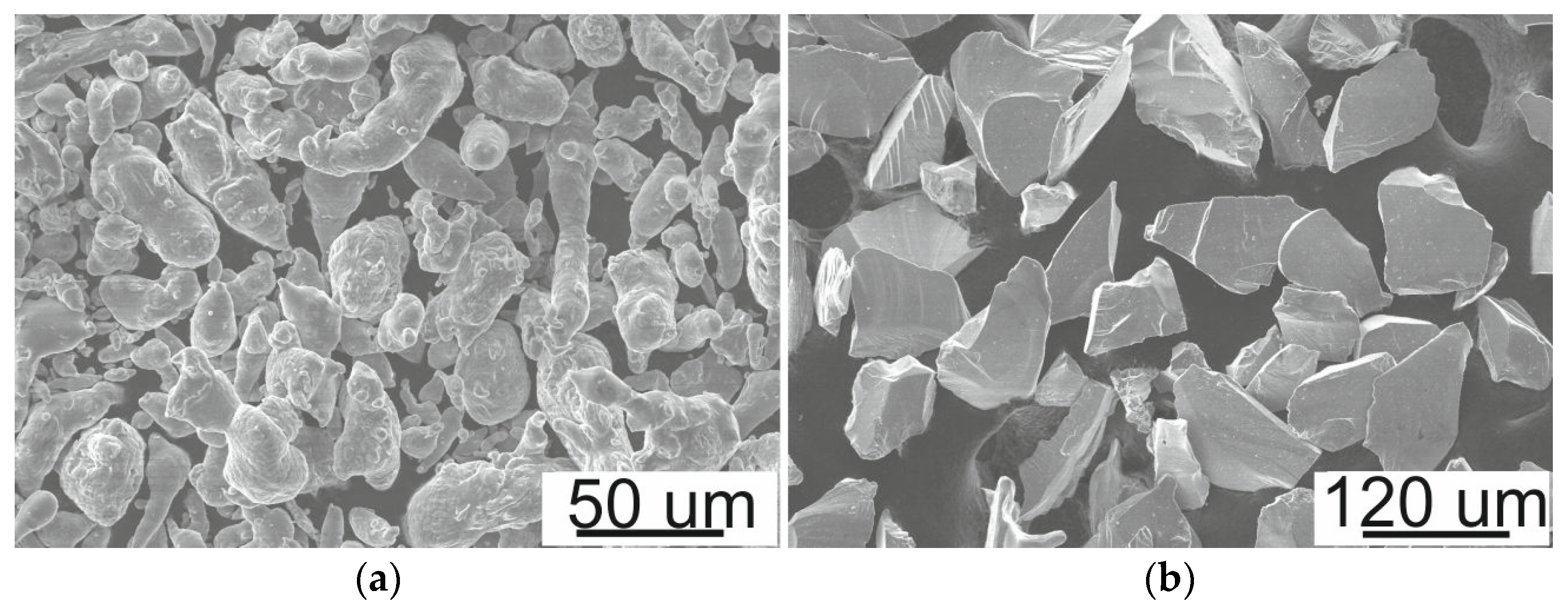 Sustainability 16 00903 g001