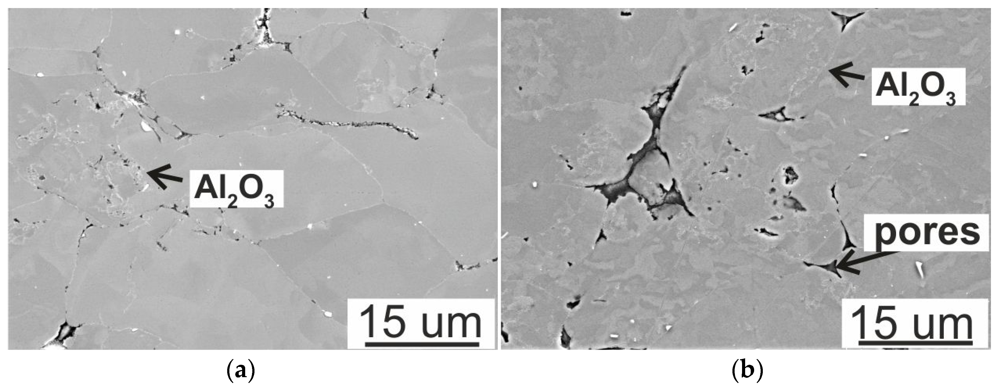 Sustainability 16 00903 g003