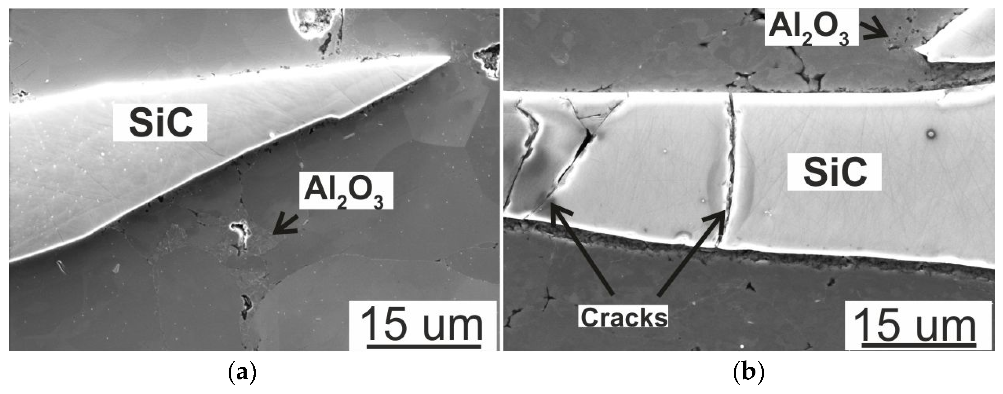 Sustainability 16 00903 g004