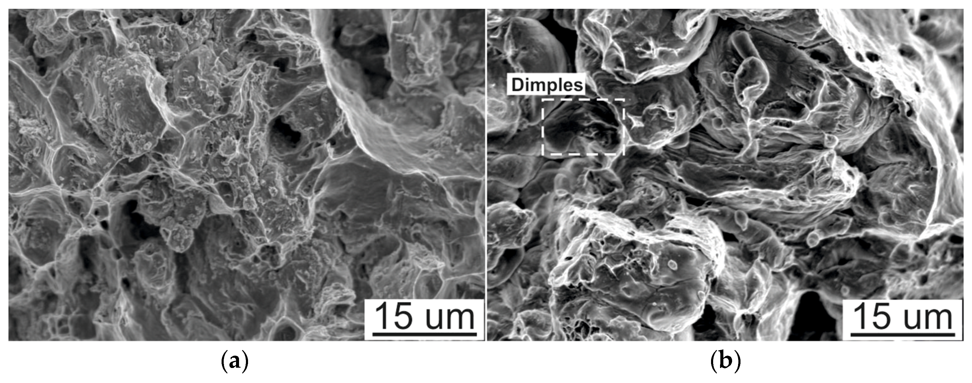 Sustainability 16 00903 g012