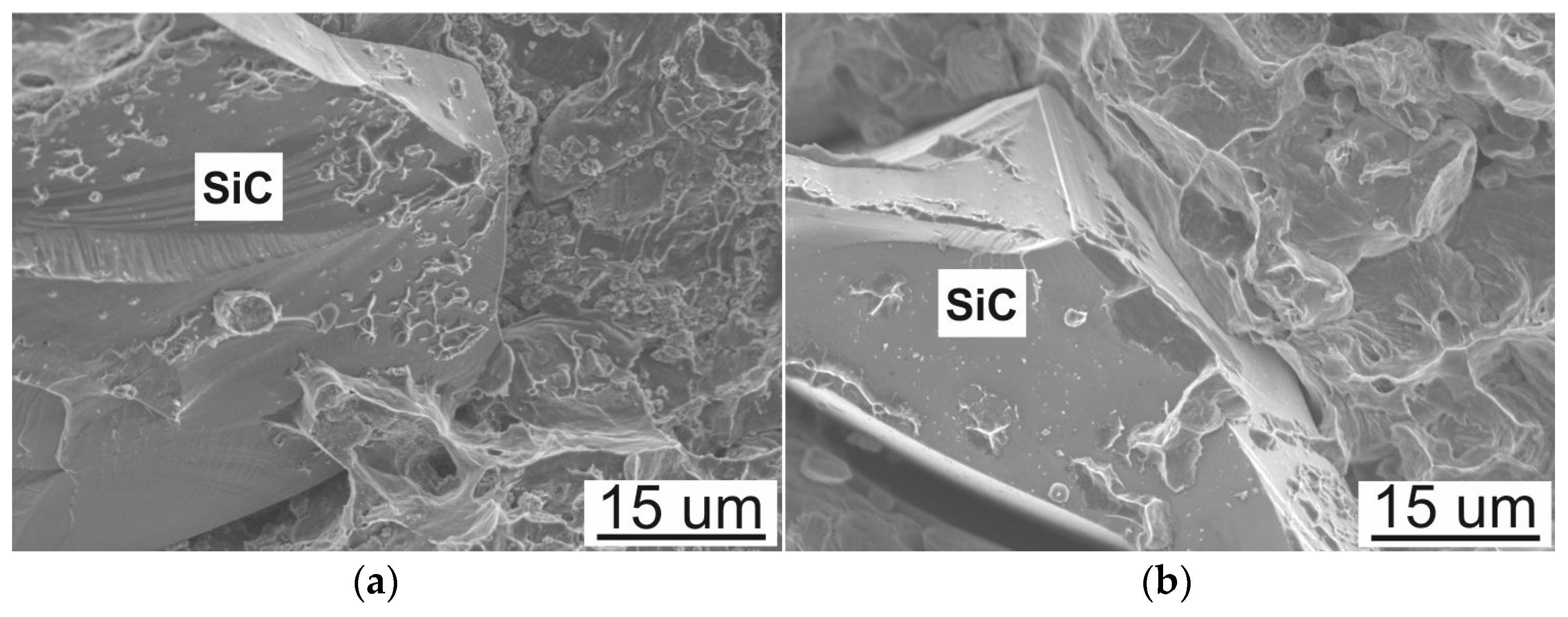 Sustainability 16 00903 g013