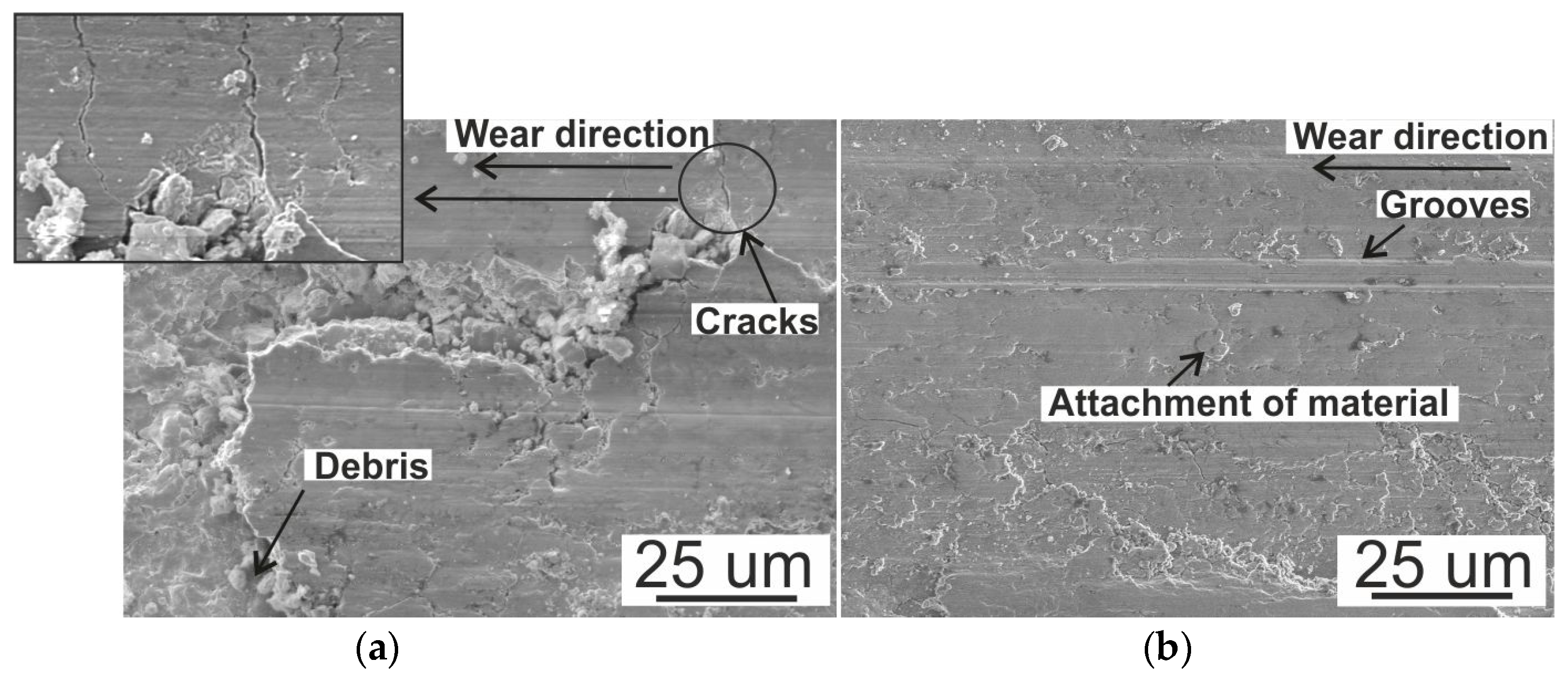 Sustainability 16 00903 g018