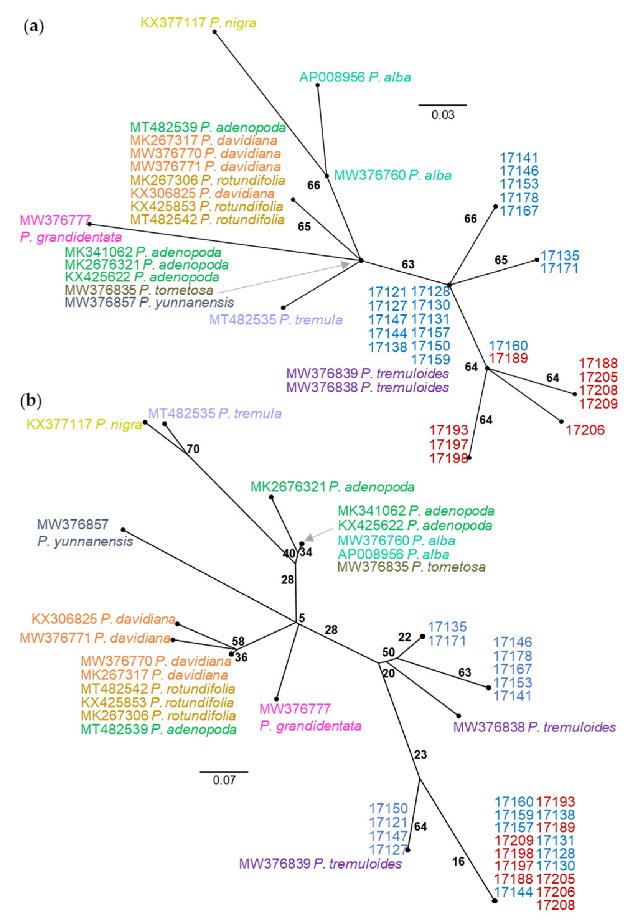 Sustainability 16 00949 g004
