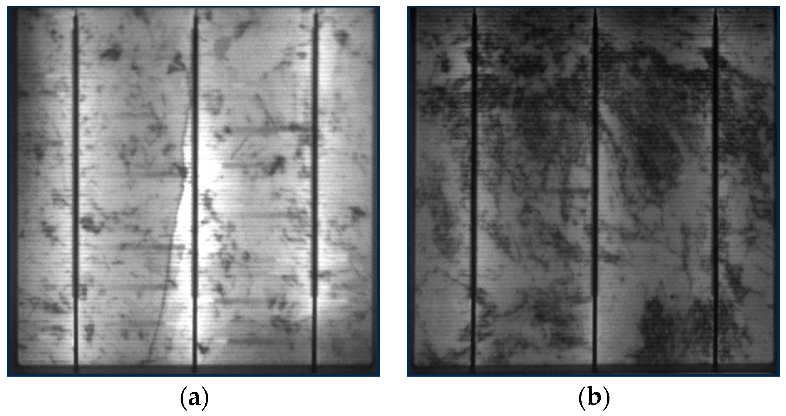 Sustainability 16 00958 g001