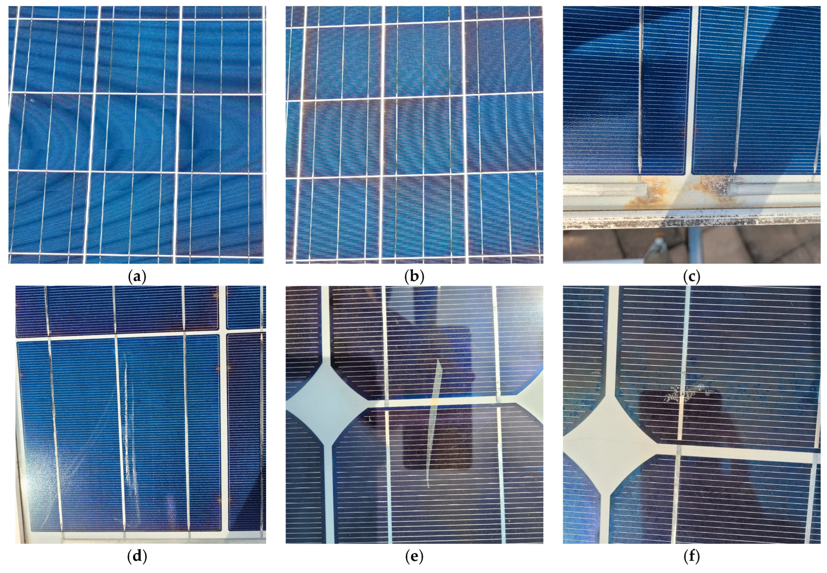 Sustainability 16 00958 g003