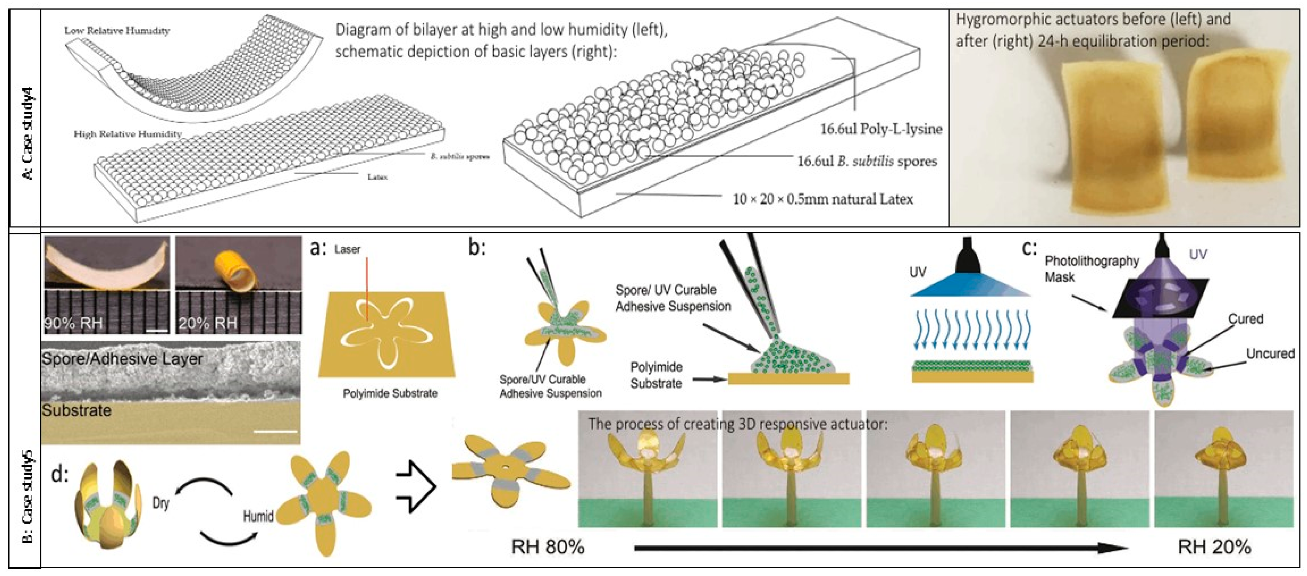 Sustainability 16 00959 g006