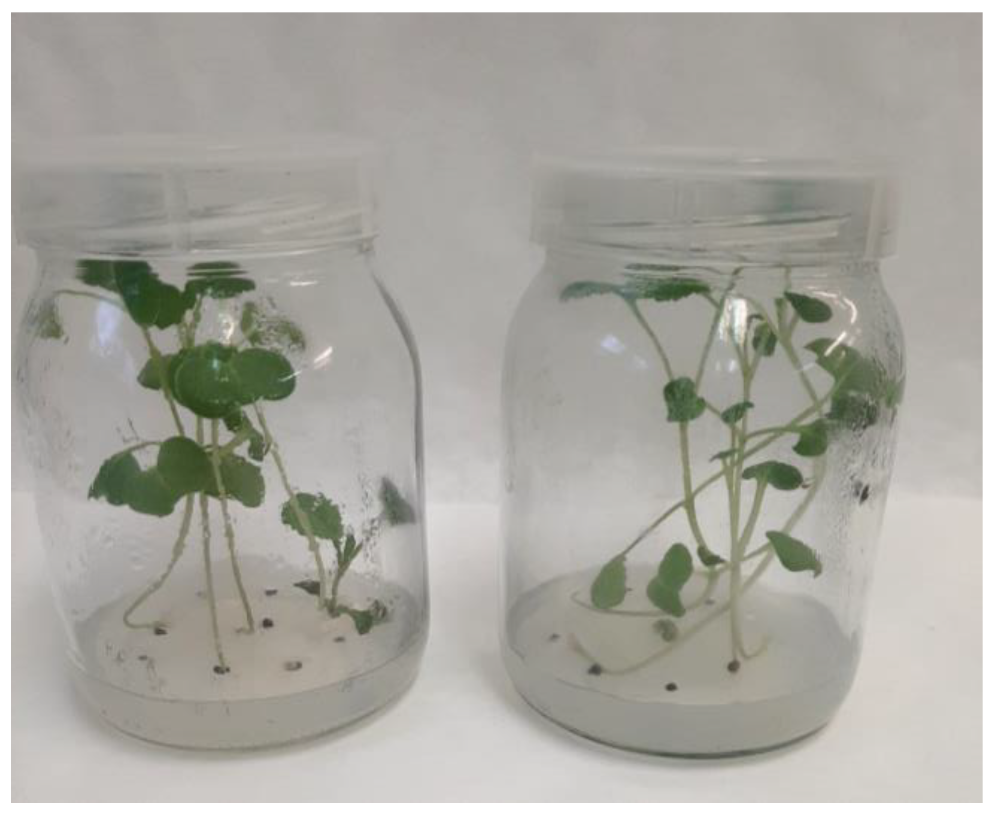 Sustainability 16 00977 g001