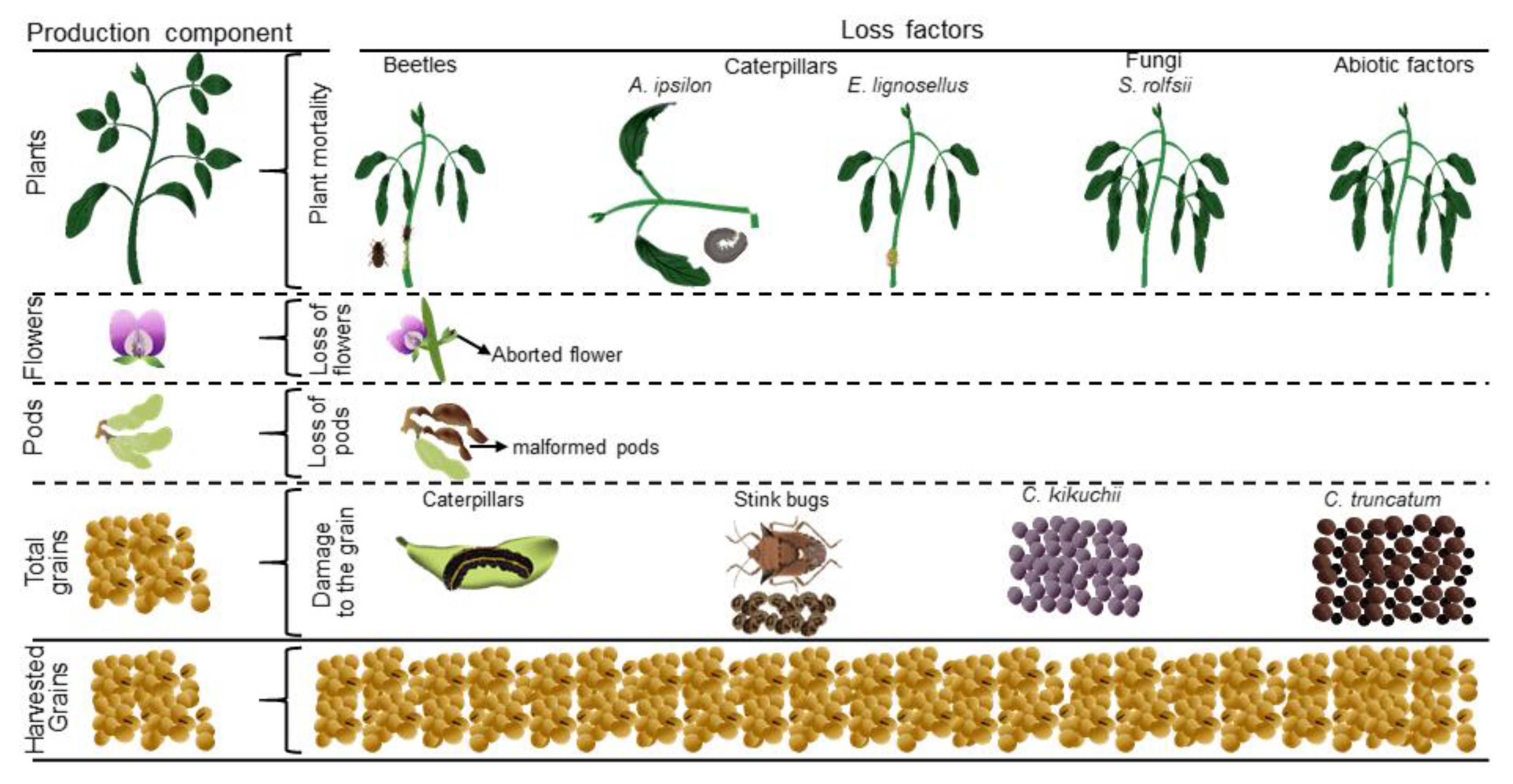 Sustainability 16 01036 g002