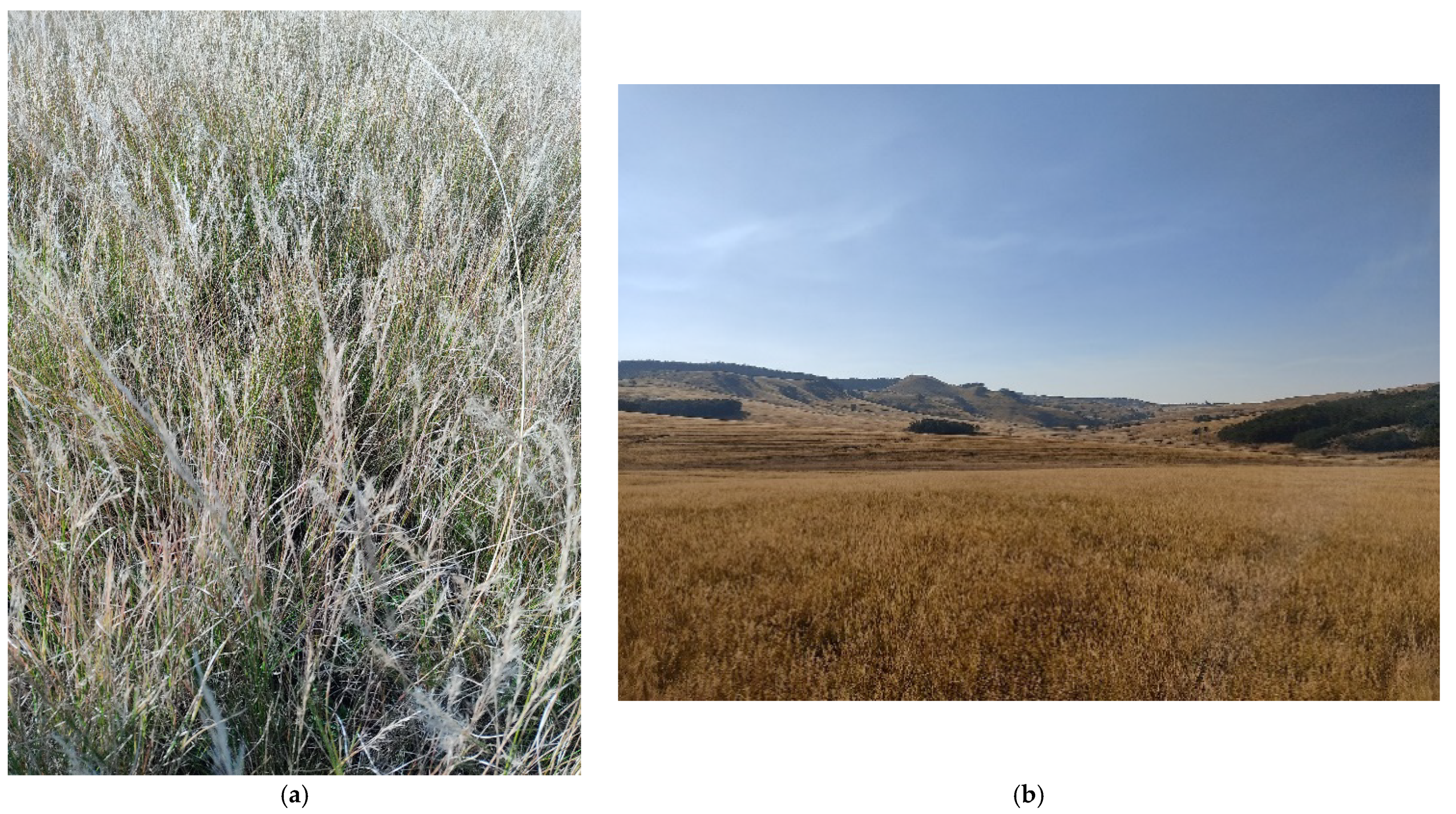 Sustainability 16 01051 g002