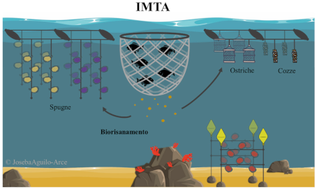 Sustainability 16 01066 i002
