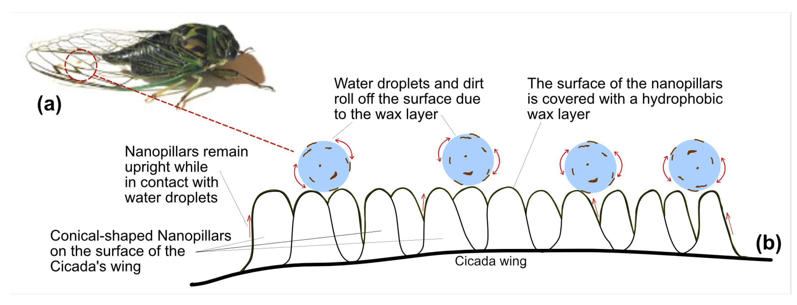 Sustainability 16 01069 g012