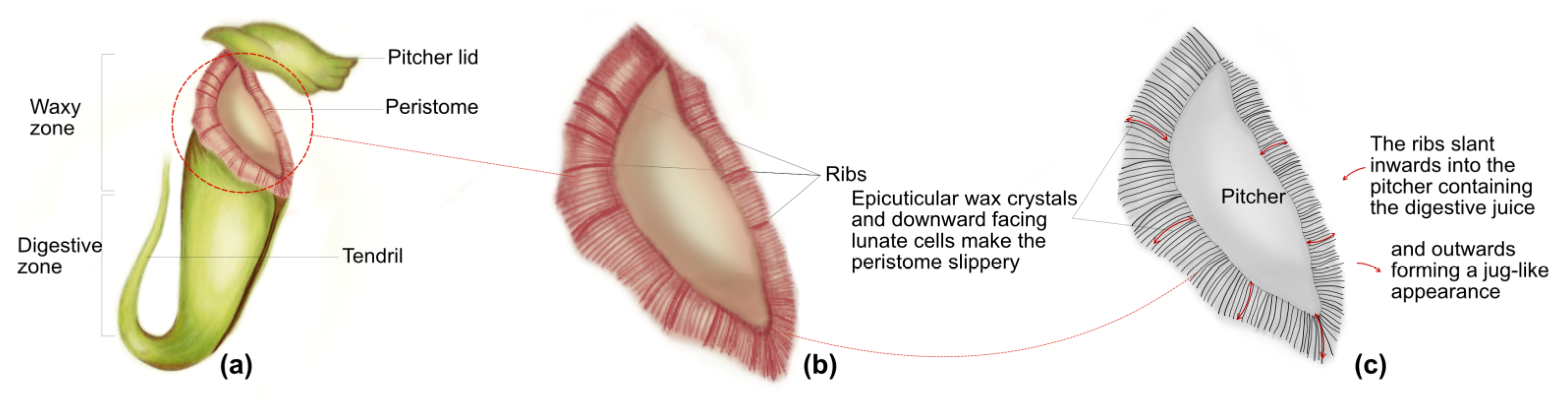 Sustainability 16 01069 g013