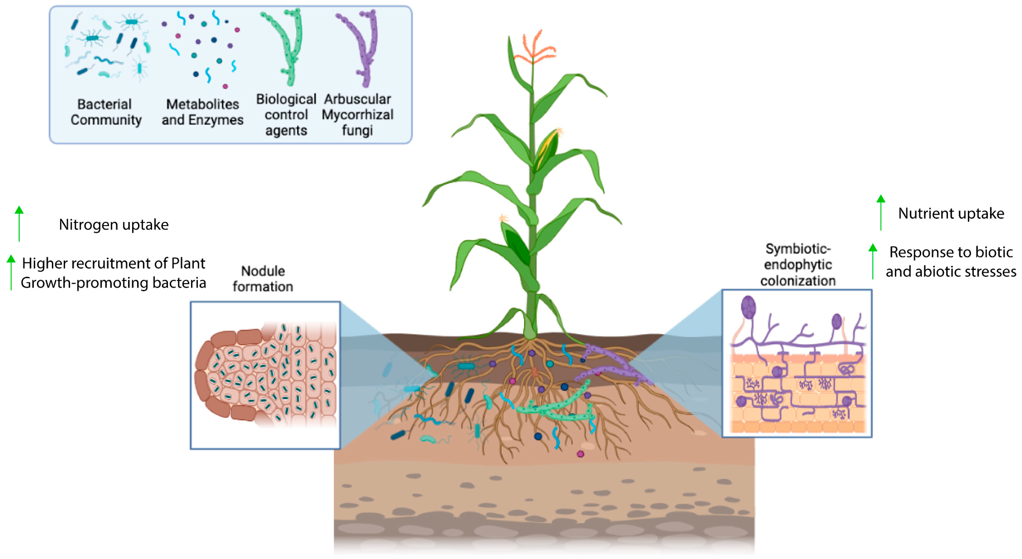 Sustainability 16 01076 g001 Sustainability 16 01076 g001