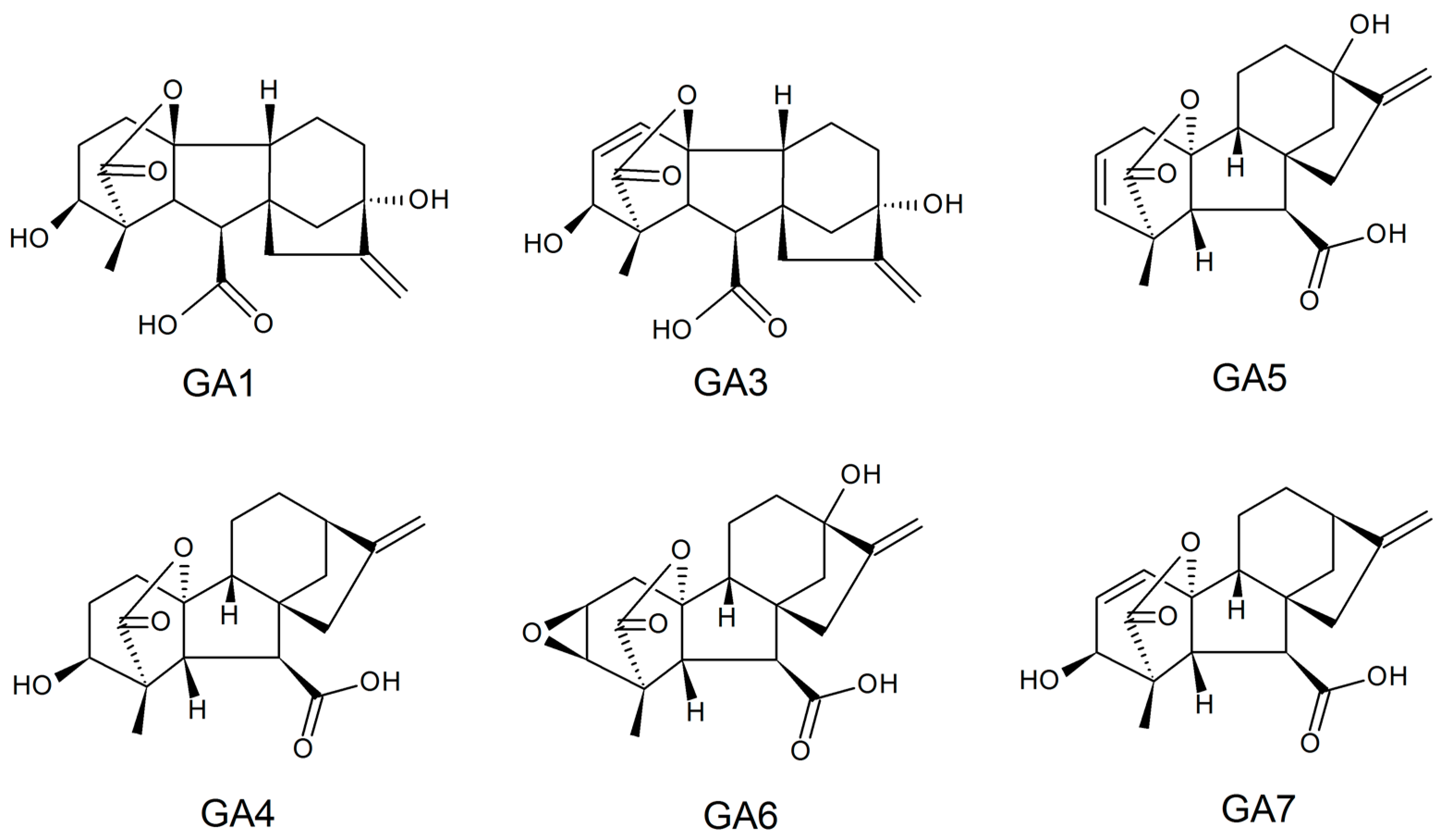 Sustainability 16 01076 g003 Sustainability 16 01076 g003